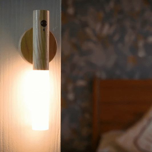 Magnetic Motion LED Night Light